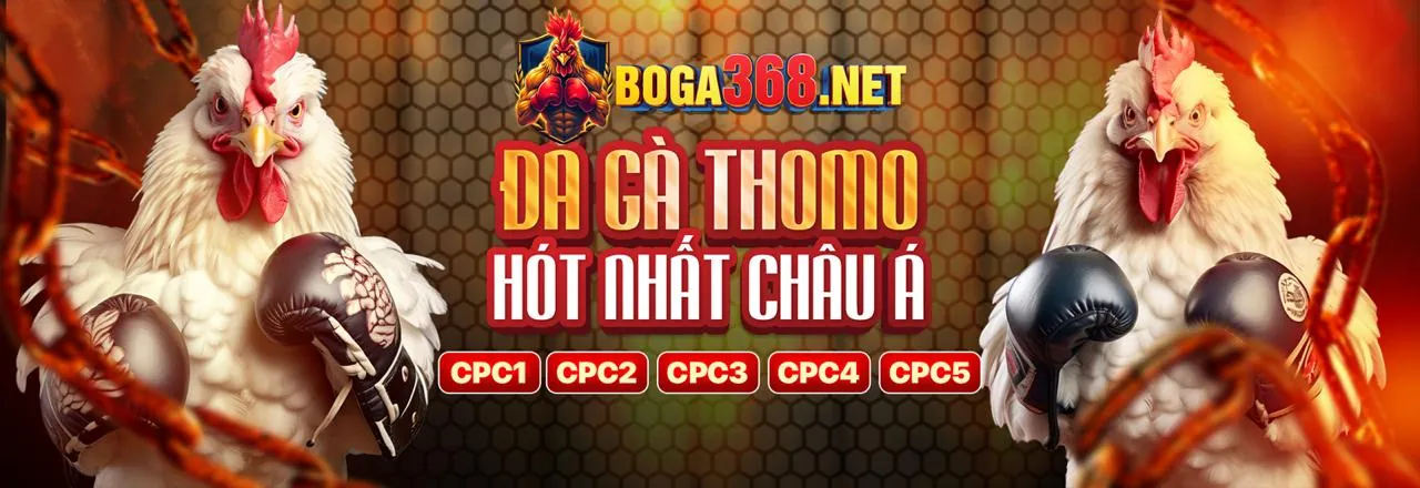 Đá gà trực tuyến kịch tính tại 1888v win