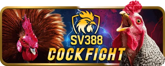 Hình ảnh minh họa các loại cookie được 1888v win sử dụng
